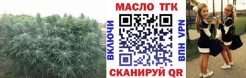 кракен как зайти  Чёрмоз  Дистиллят ТГК THC oil  что такое  