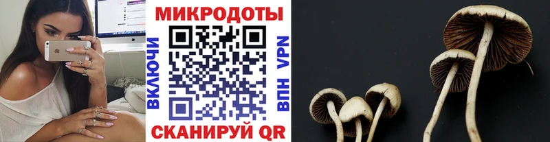 Псилоцибиновые грибы мицелий  Чёрмоз 